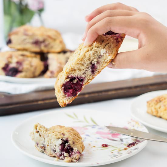 Blackberry Scones