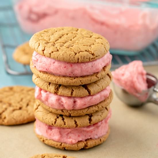 Vegan Sunbutter Ice Cream Sandwich