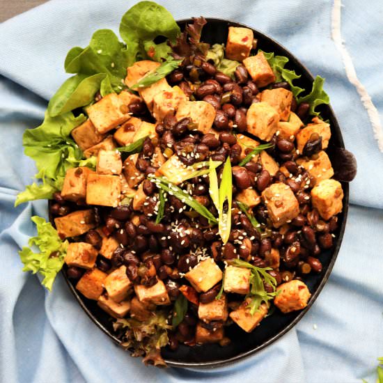 Roasted Black Bean Tofu