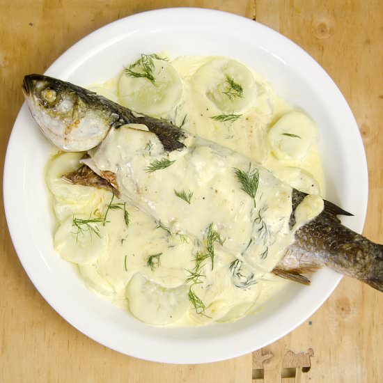 Baked Mullet in Cream Sauce