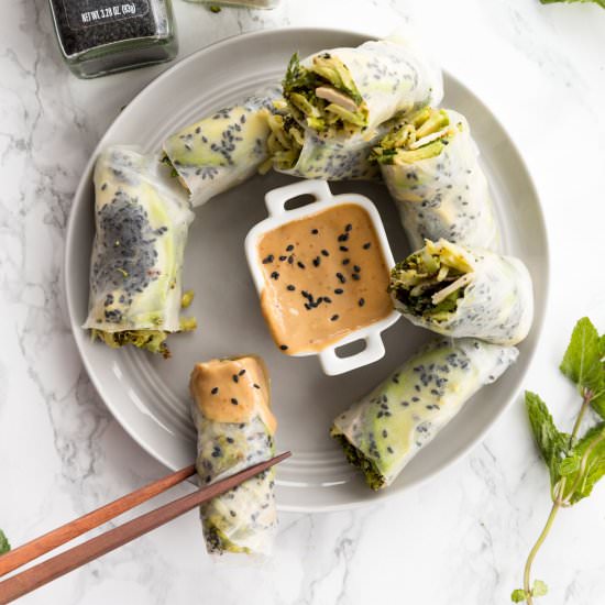 Broccoli & Tofu Sesame Spring Rolls