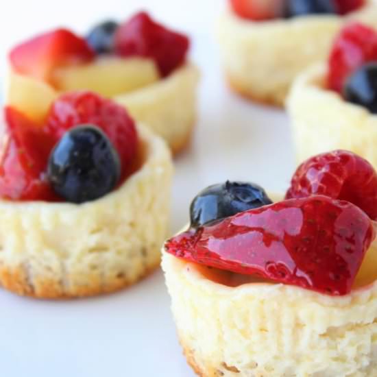 Mini Cheesecake Fruit Tarts