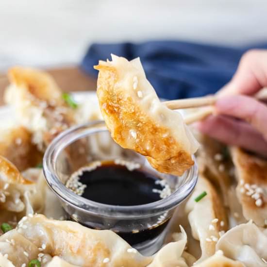 Lemongrass Chicken Potstickers