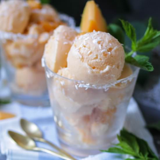 Cantaloupe Melon Sorbet