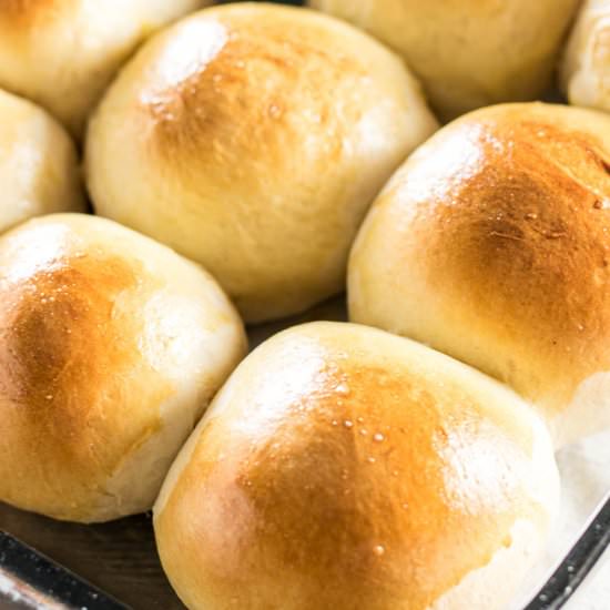Sweet Dinner Rolls
