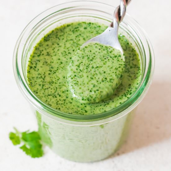 Creamy Cilantro Sauce