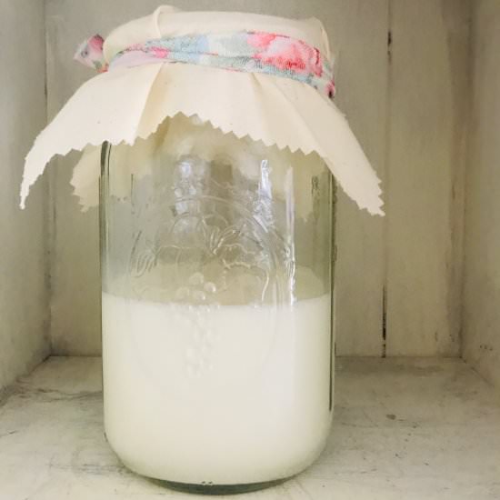 DIY Kefir