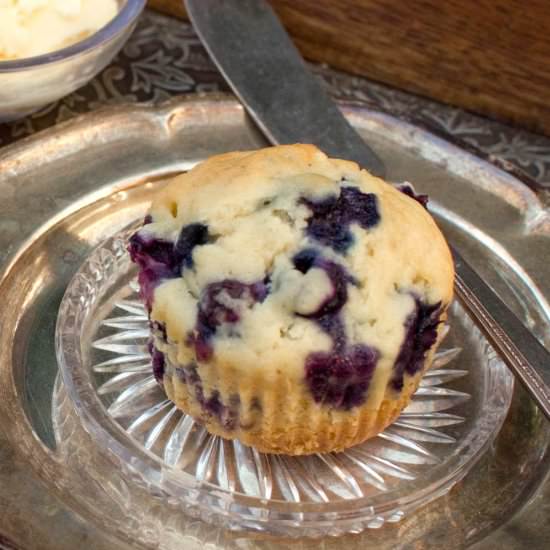 Blueberry Muffins