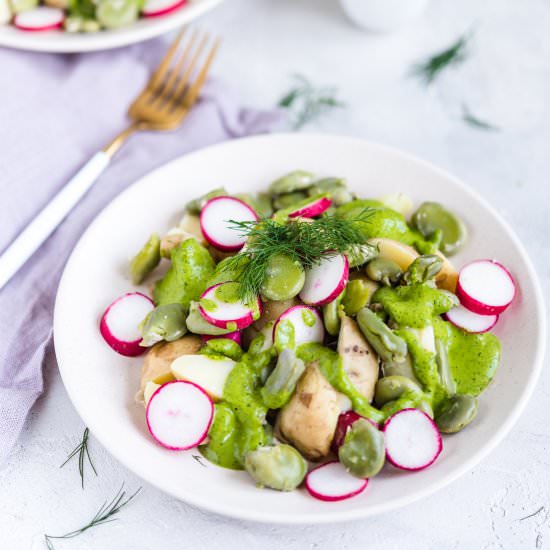 Fava beans salad with dill pesto