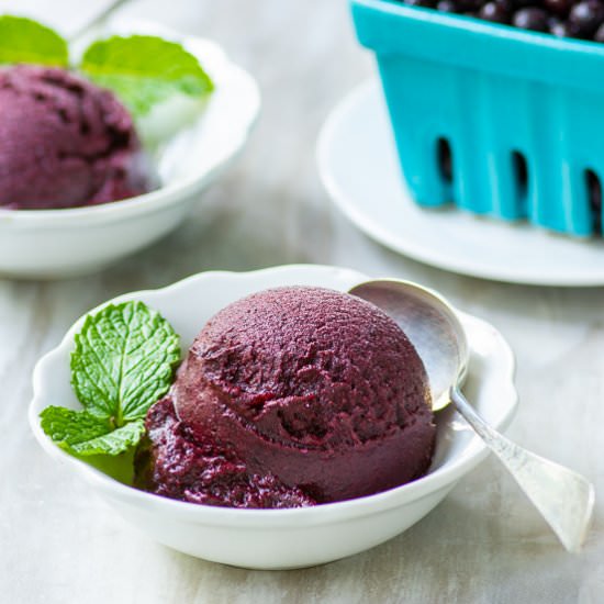 Wild Blueberry Vanila Frozen Yogurt