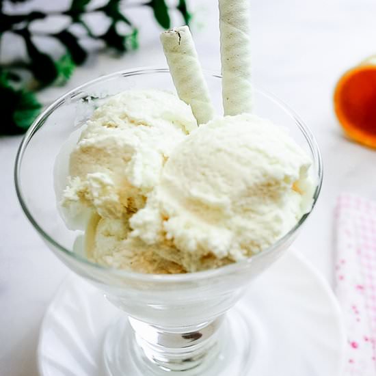 Rum Raisin Ice Cream