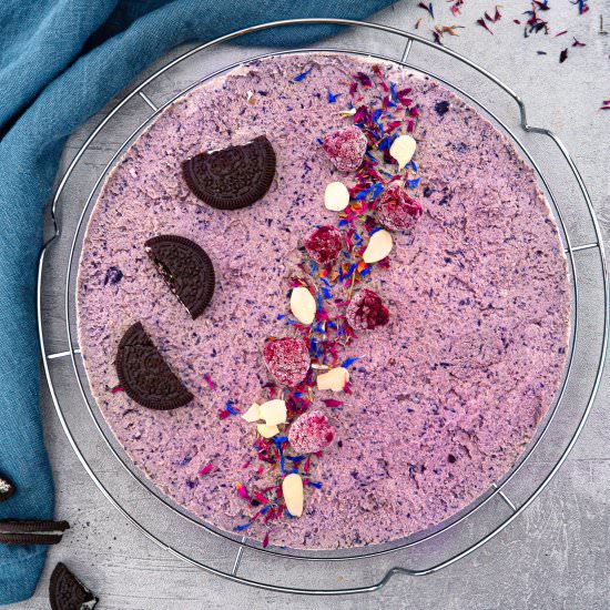 Raw Vegan Blueberry Cheesecake