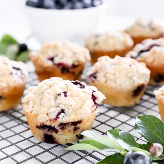 Lemon Blueberry Muffin
