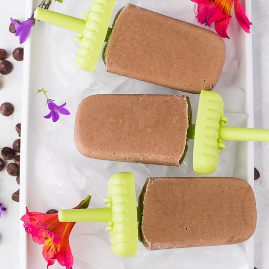 Homemade Vegan Fudgesicles