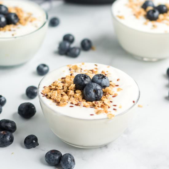 Yogurt in the Instant Pot