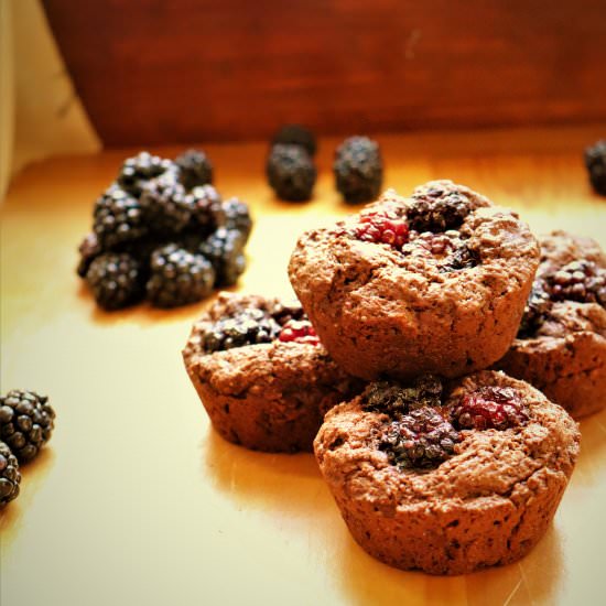 Salted Blackberry Brownies