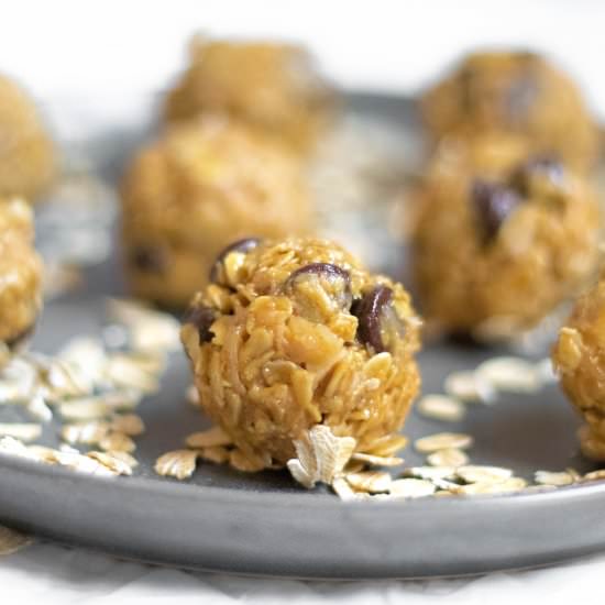 Energy Bites-Oatmeal Chocolate Chip