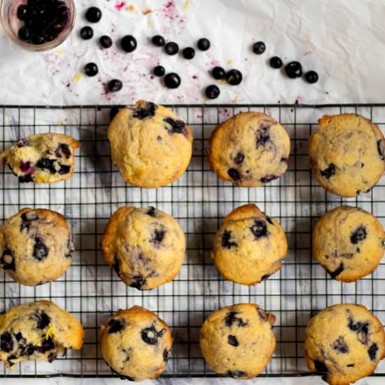 Simple Blueberry Muffins