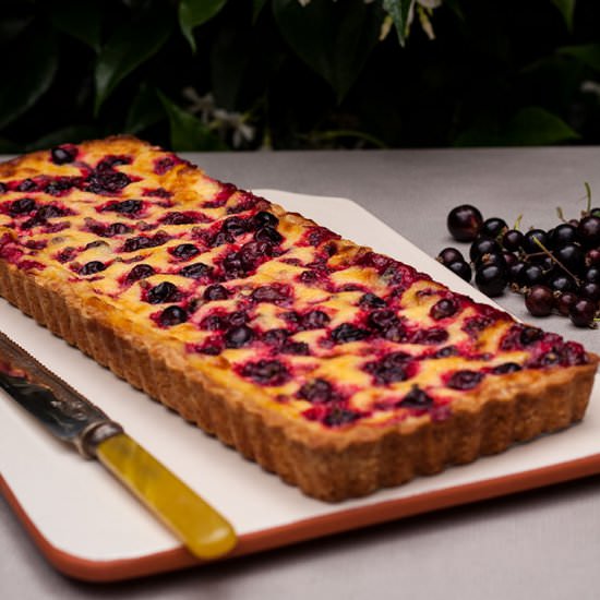 Blackcurrant and Vanilla Cream Tart