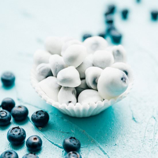 Frozen Blueberry Bites