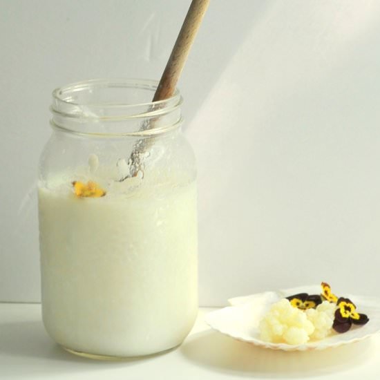 Make Your Own Kefir