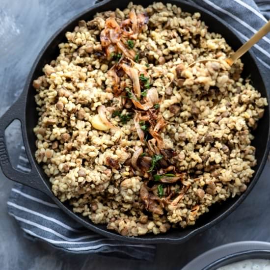 Mujaddarat Bulgur- Lentil Pilaf