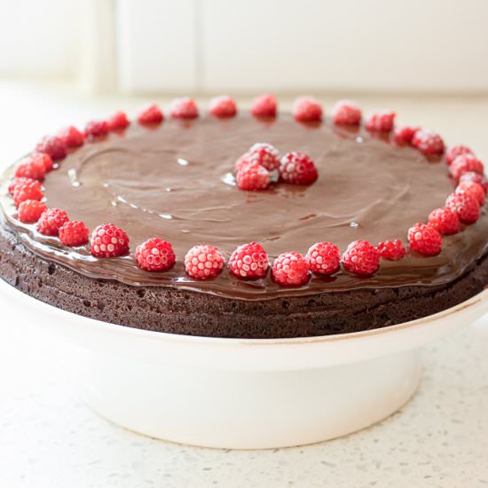 Flourless Chocolate Wineberry Cake