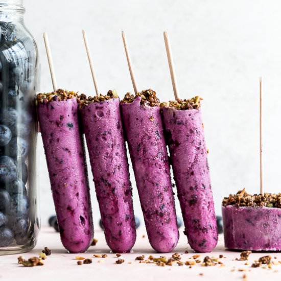 Blueberry Goat Cheese Ice Cream