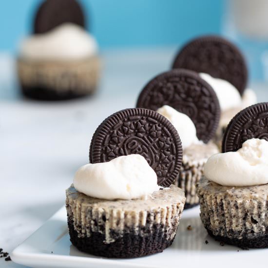 The Best Oreo Cheesecake Bites