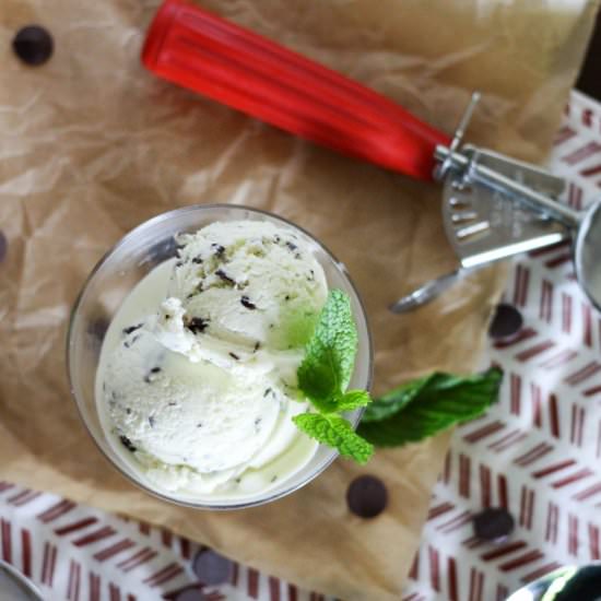 Fresh Mint Chocolate Chip Ice Cream