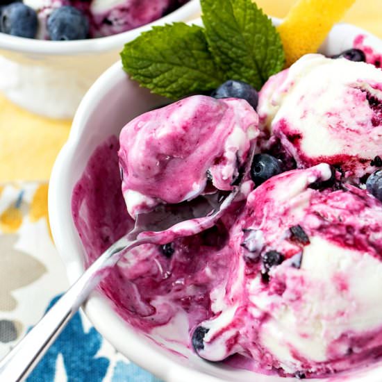 Lemon Blueberry Frozen Yogurt
