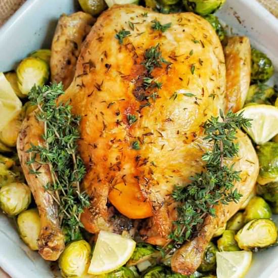 Slow Cooker Lemon Garlic Chicken