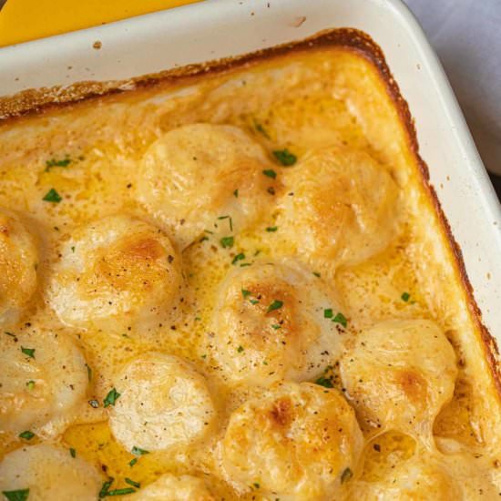 Scallop Gratin