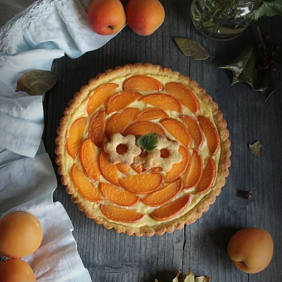 Cake with ricotta cream