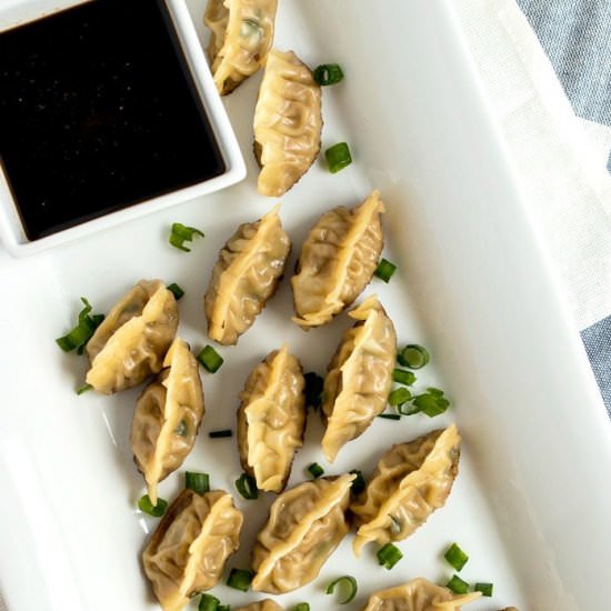 AMAZING PORK DUMPLINGS