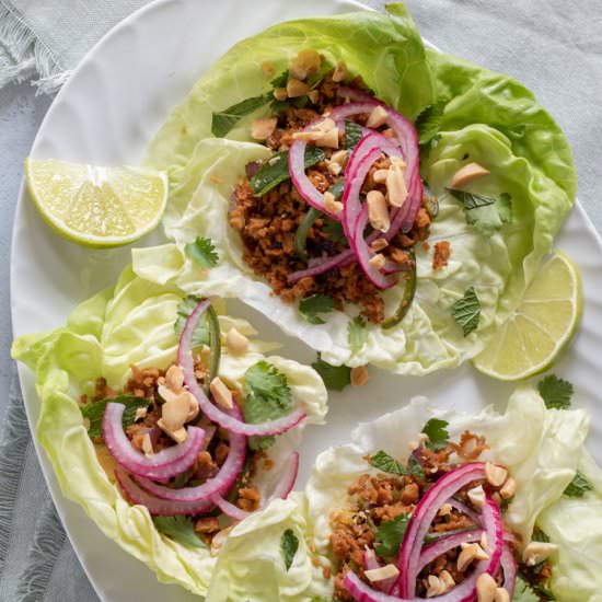 Thai-Inspired Vegan Larb