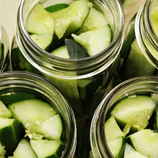 Homemade Refrigerator Pickles