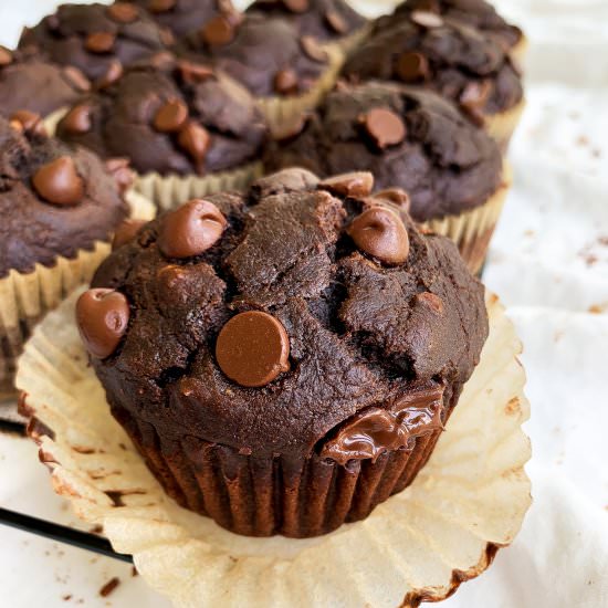 Chocolate Peanut Butter Muffins