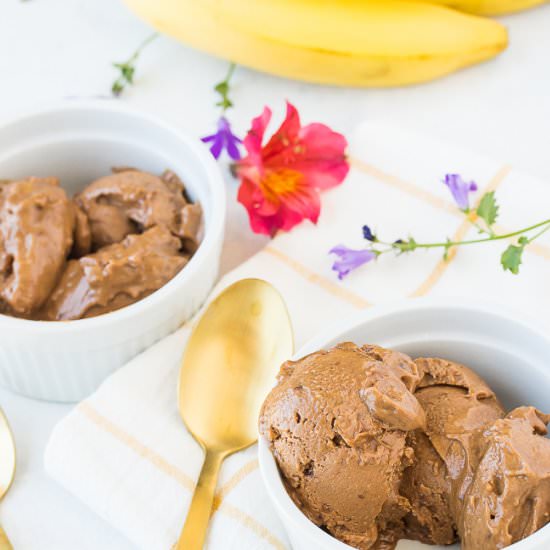 Vegan Chocolate Banana Ice Cream
