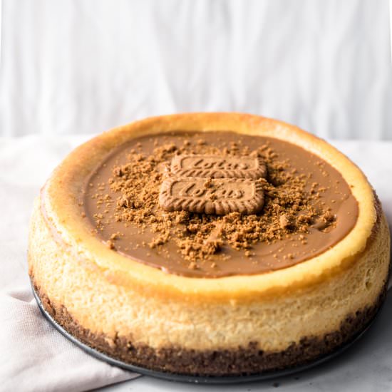 Lotus Biscoff Cheesecake