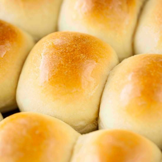 DINNER ROLLS
