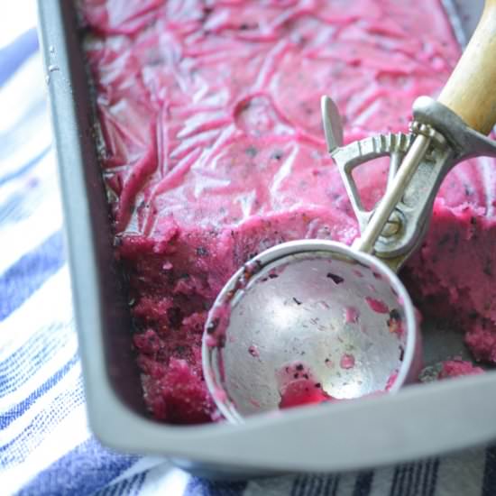 Blueberry Lemon Sorbet