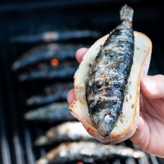 Grilled Portuguese sardines