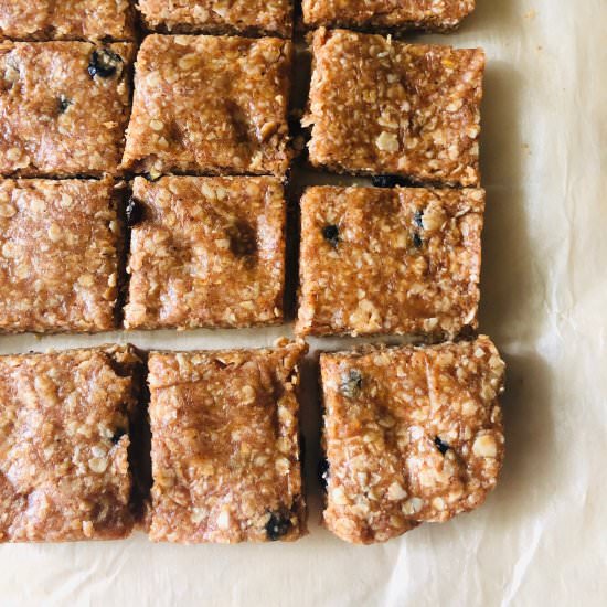 No-Bake Lemon Blueberry Oat Bites