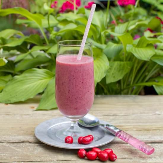 Cranberry Smoothie