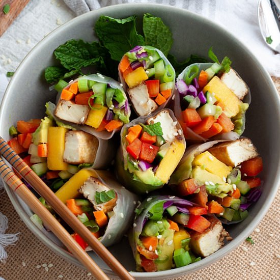 Vegan Rainbow Tofu Rolls
