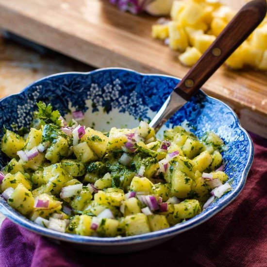 PINEAPPLE CHIMICHURRI WITH CILANTRO