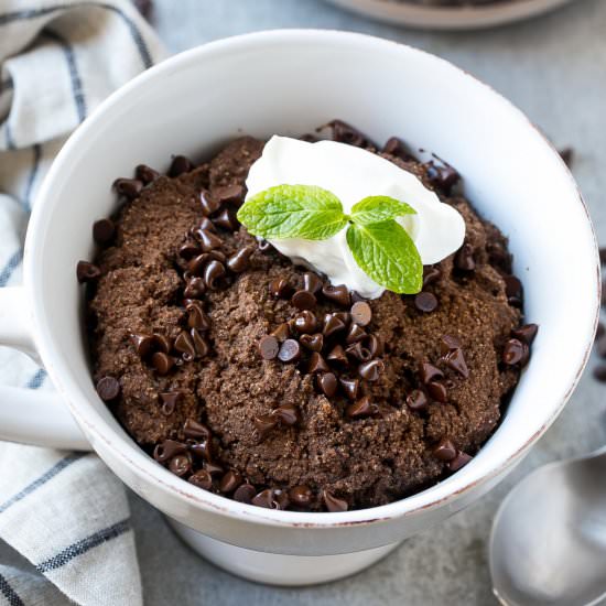 Protein Chocolate Mug Cake