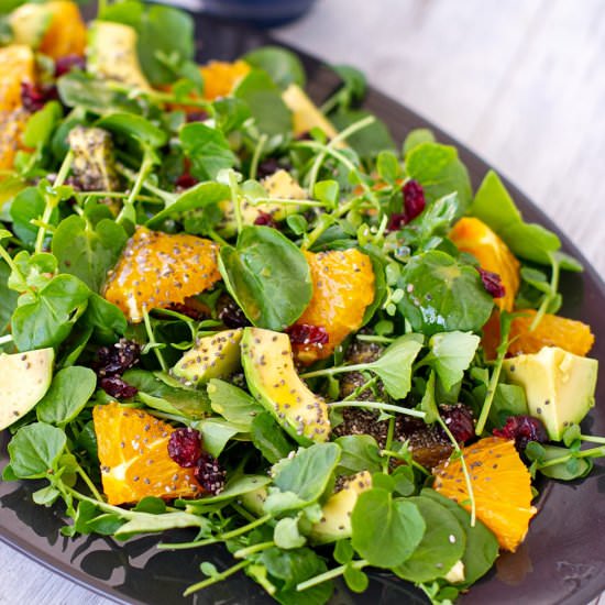 Watercress Orange & Avocado Salad