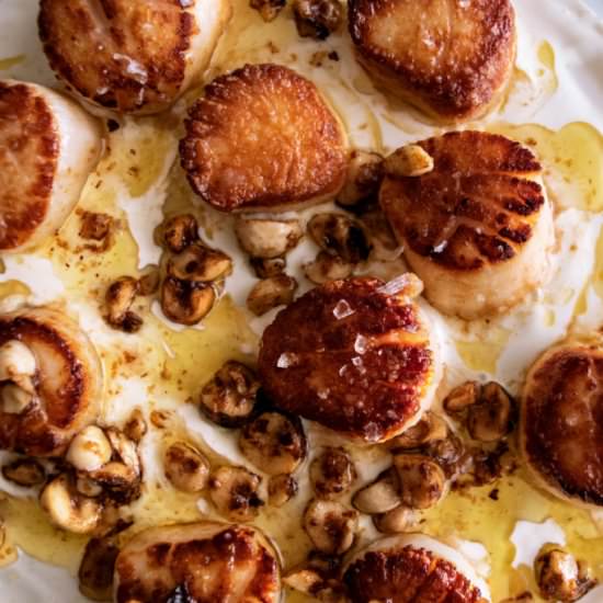 Seared Scallops & Hazelnut Butter